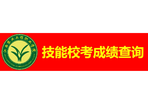技能校考成绩查询